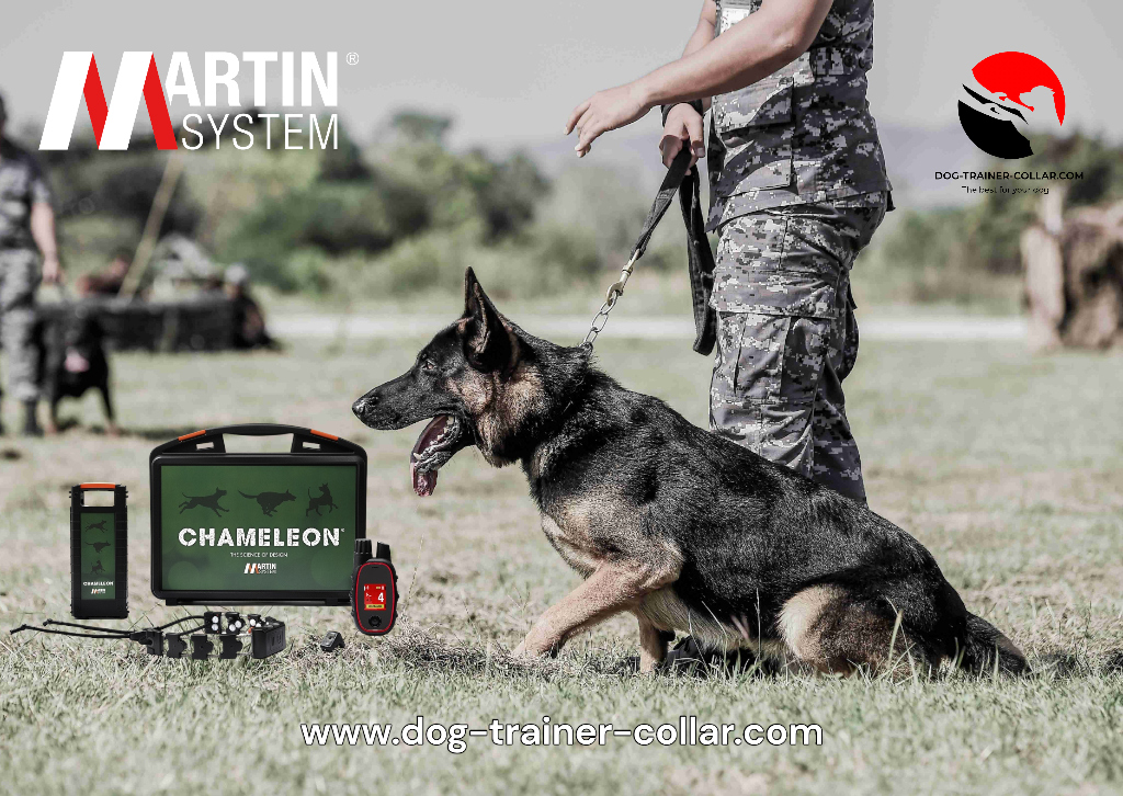 BE-111 MARTIN SYSTEM - Set K9® + Chameleon® III B (Large) + Finger Kick + charging kit-PhotoRoom(SK-EN)